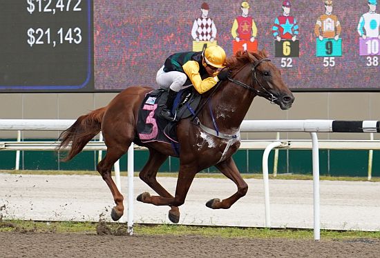 Mesmerizing wins Open Maiden 1600m (photo: STC)