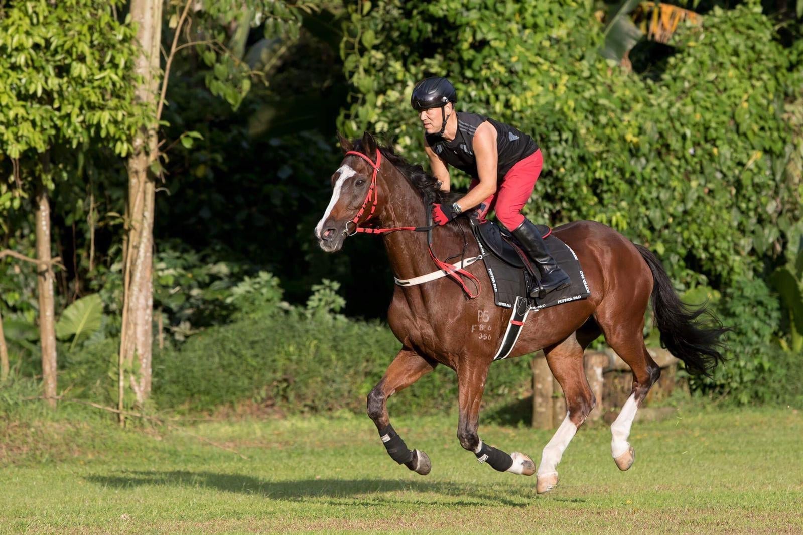 Peter riding Beefy at BTSC heathtrack