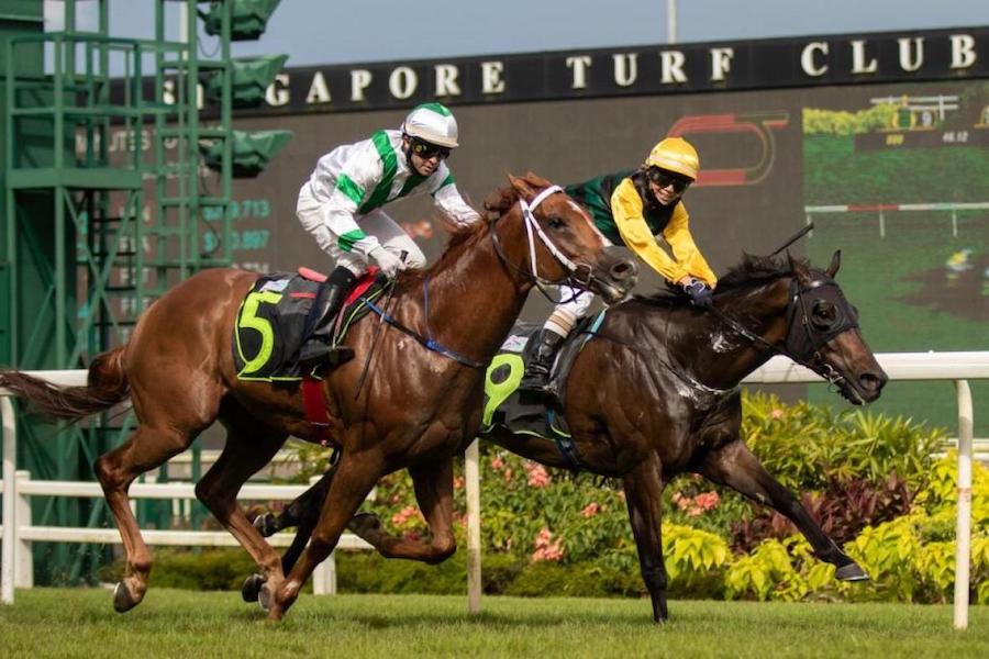 Fame Star triumphs past Rocket Star in Class 1 $100k 1200m; trained by Stephen Crutchley and ridden by Apprentice Jerlyn Seow (photo: STC)