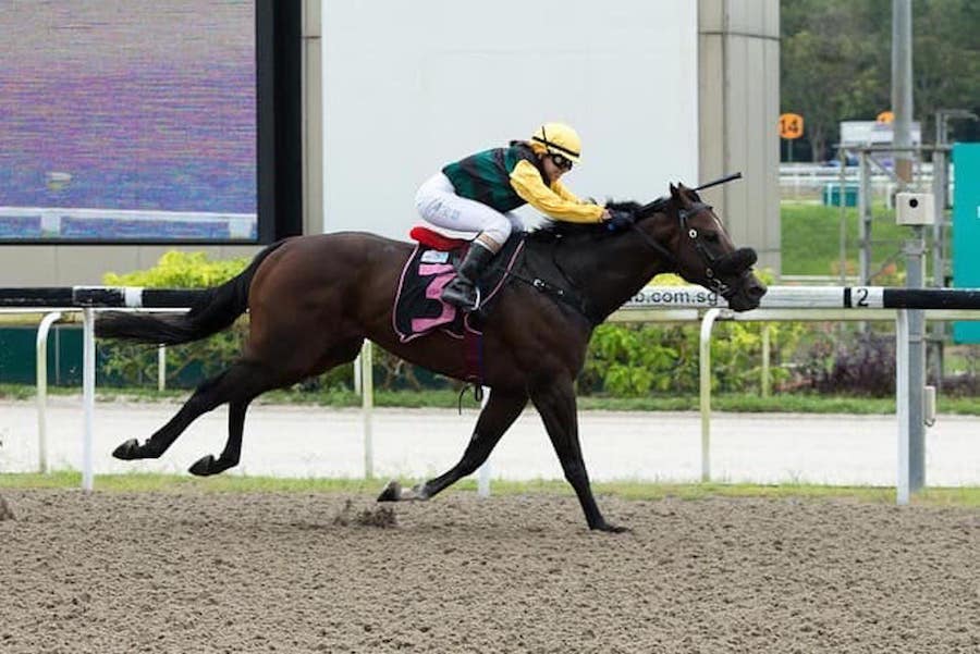 Sing Our Song wins C5 1100m polytrack race; trained by Stephen Crutchley and ridden by Apprentice Jerlyn Seow (photo: STC)