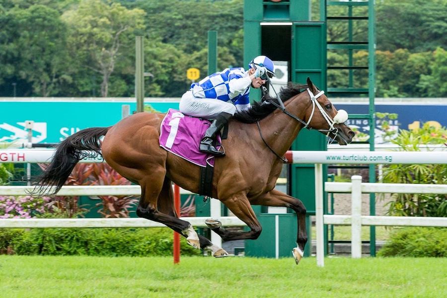 Hongkong Great wins Singapore Gold Cup 2022; trained by Ricardo Le Grande and ridden by Mark Zahra (photo: sgracingphoto)