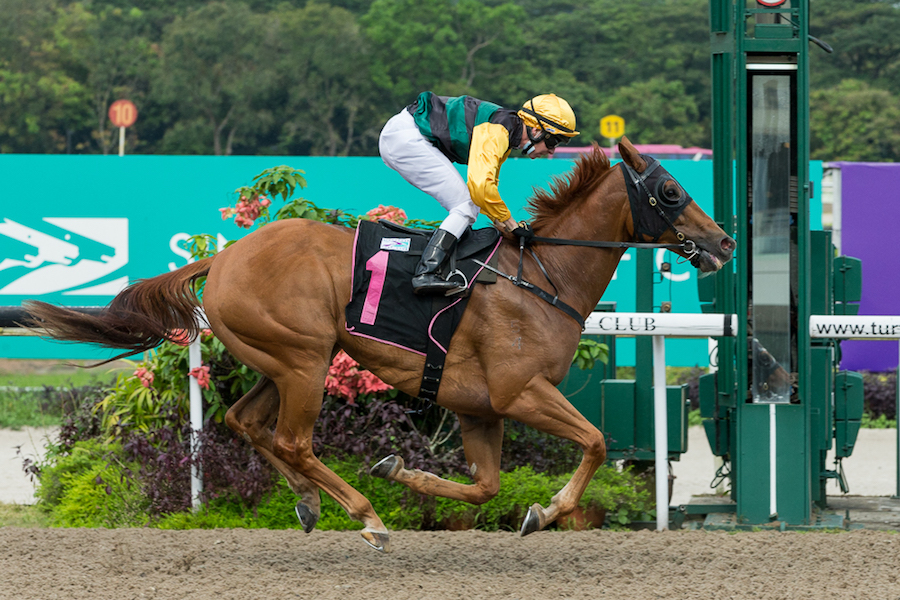 Proof Perfect wins Cl 4 1200m poly; trained by Stephen Crutchley and ridden by Ronnie Stewart (photo: sgracingphoto)